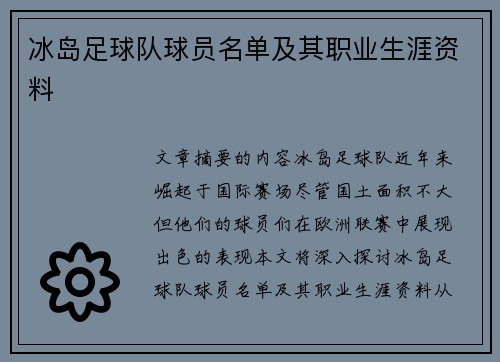 冰岛足球队球员名单及其职业生涯资料